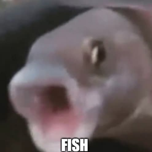 Mod F.I.S.H F. (Mod For Instant Sudden Homicidal Fish) icon